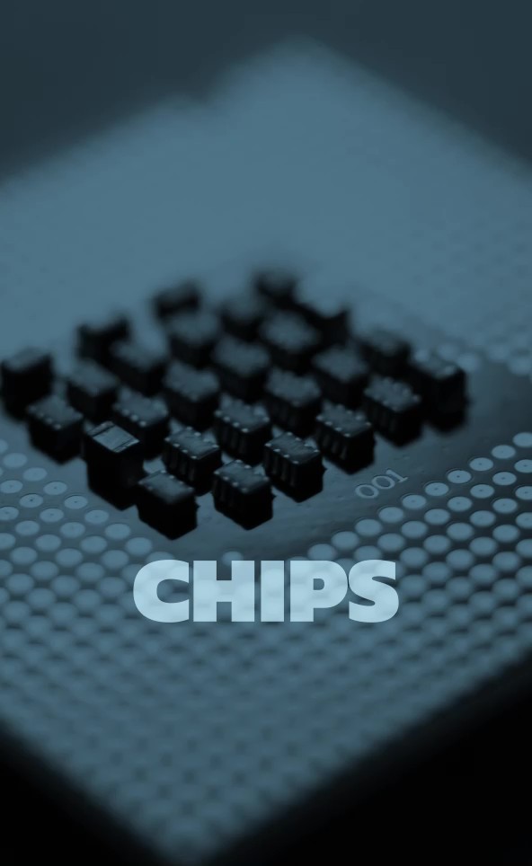 Silicon Everywhere Chips